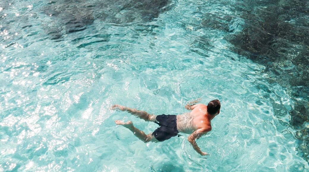 That place where blue and #green meet...