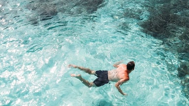 That place where blue and #green meet...