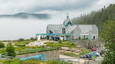 Centre d\'Interprétation des Mammiféres Marins showing mist or fog