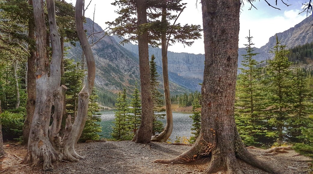 bertha lake trail #green