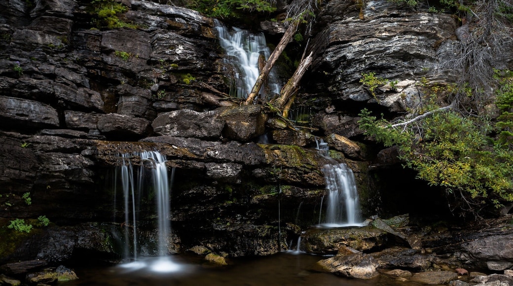 14 km round hike. First 4 km is an easy walk. Once you take the trail to Goat Lake it is a steady climb for 2.5 km with 1,750 feet in elevation gained.
