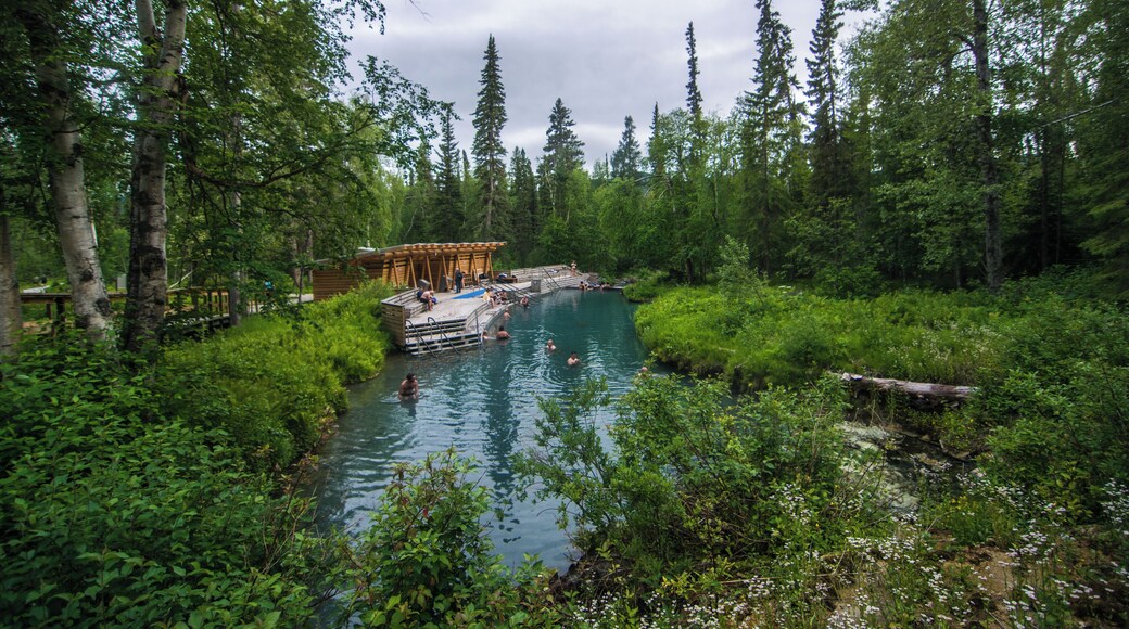 nestled in the wilderness of northern BC, lies a small wilderness hot spring maintained beautifully BC parks, this amazing spot is just the right balance of nature and comfort boasting temperatures ranging from hot to cooler the farther down the river you go. #Adventure