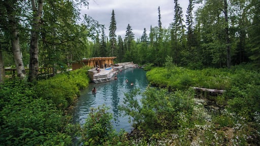 nestled in the wilderness of northern BC, lies a small wilderness hot spring maintained beautifully BC parks, this amazing spot is just the right balance of nature and comfort boasting temperatures ranging from hot to cooler the farther down the river you go. #Adventure