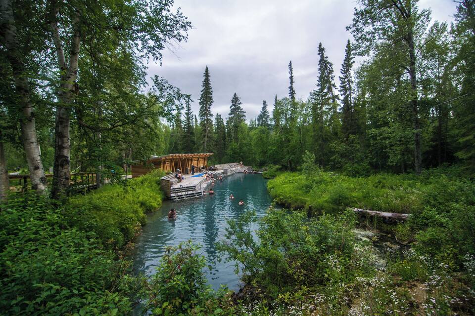 A forested area with a wooden dock extending into a clear river.