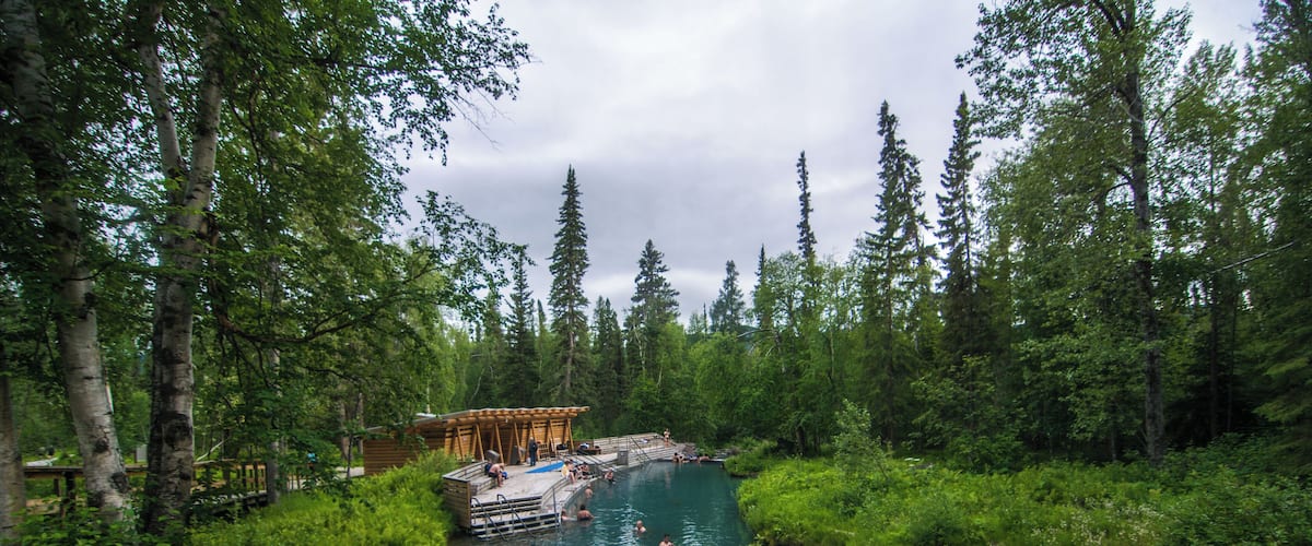 A forested area with a wooden dock extending into a clear river.