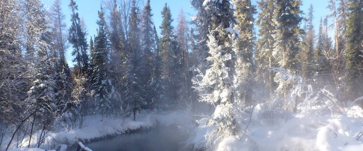 Liard Hot Sprngs in winter.