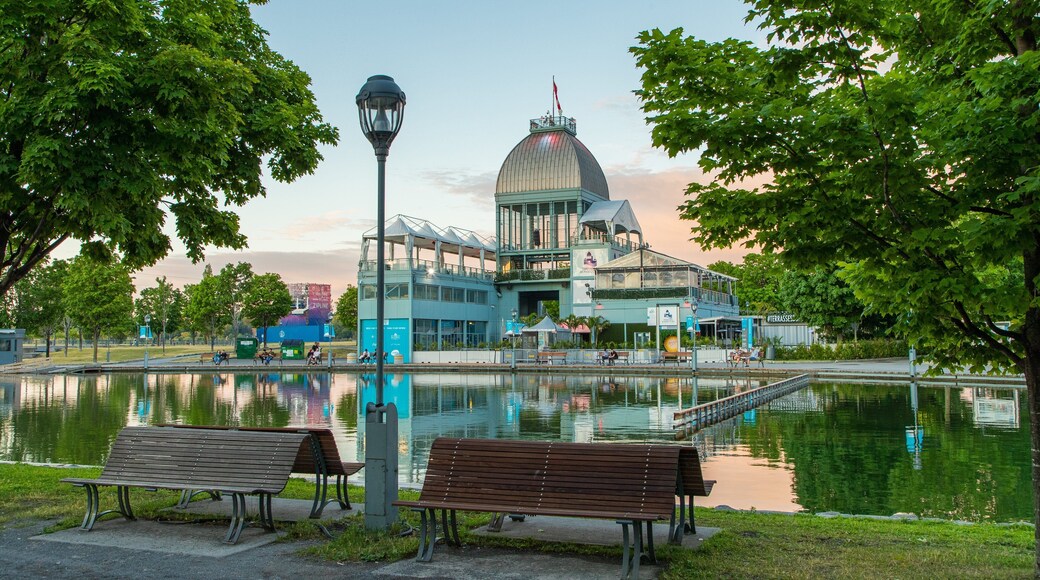 Old Port of Montreal which includes a garden, a pond and a sunset