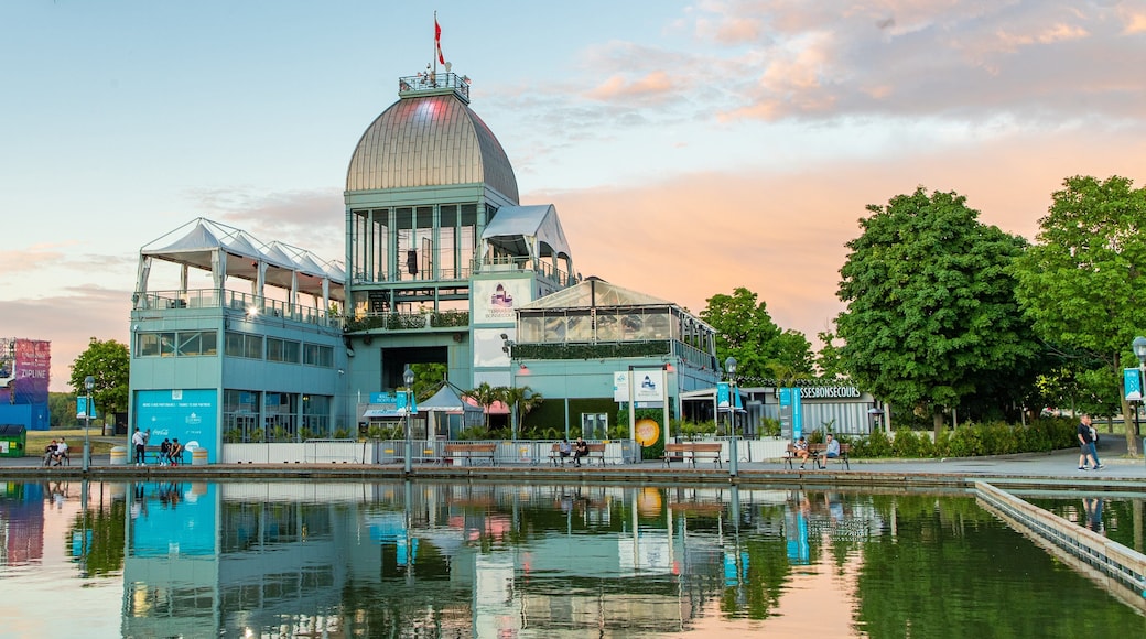 Old Port of Montreal showing a sunset and a lake or waterhole