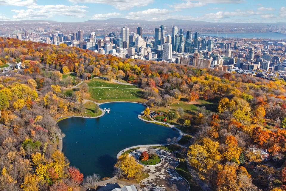 A cityscape with autumn foliage, a lake, and a bridge in the distance.