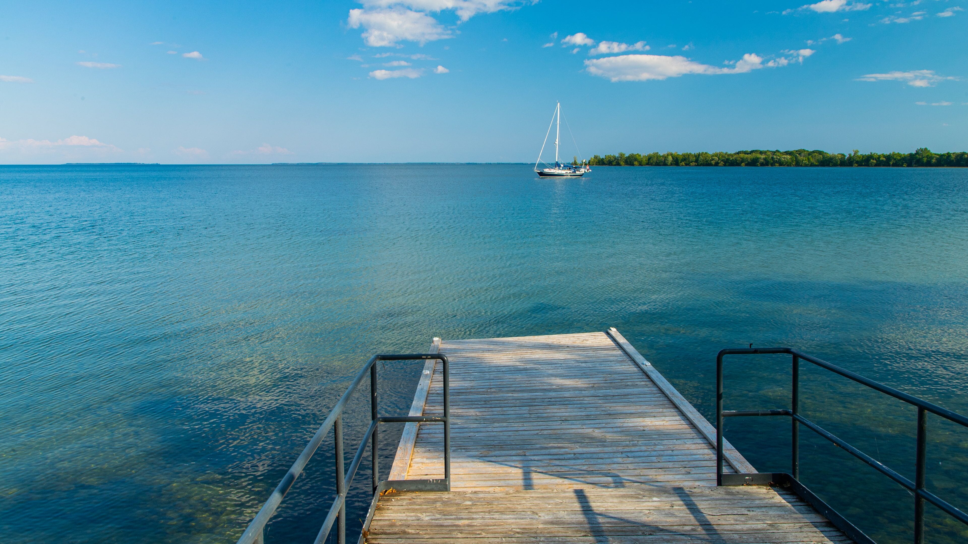Waupoos Winery featuring general coastal views