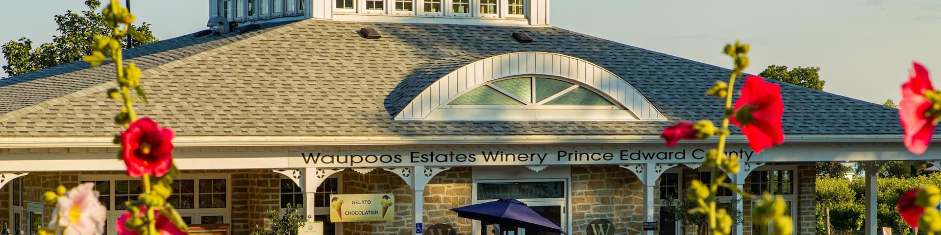 Waupoos Winery which includes wildflowers and a small town or village