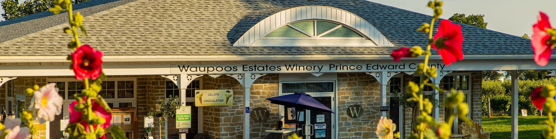 Waupoos Winery which includes wildflowers and a small town or village