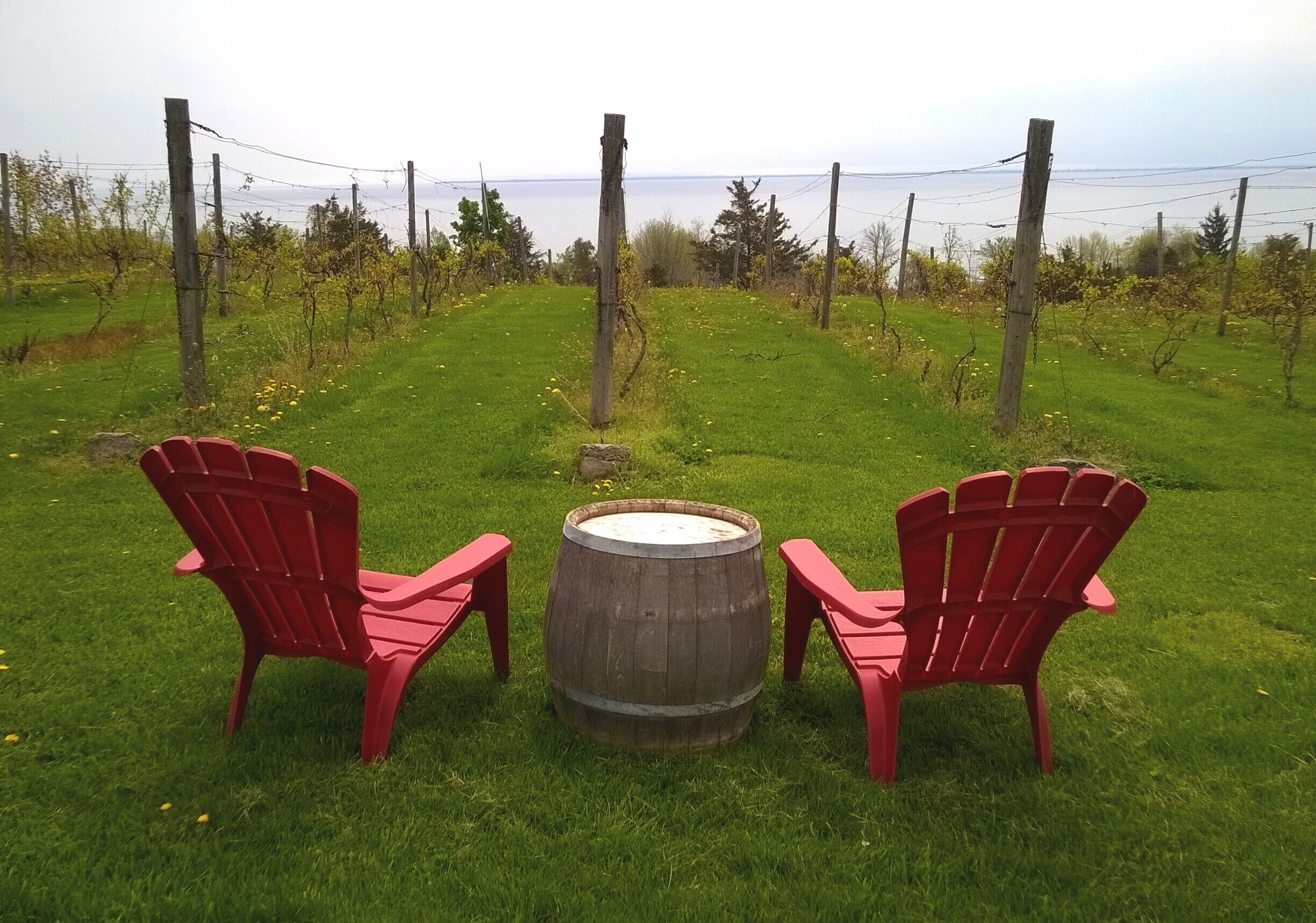 Winery with a view! Enjoying the spring weather at the County Cider Company on Lake Ontario, in Prince Edward County near Picton. #winery #winetastingtour #ontario