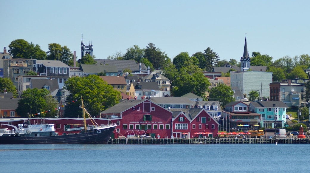 Bluenose II
