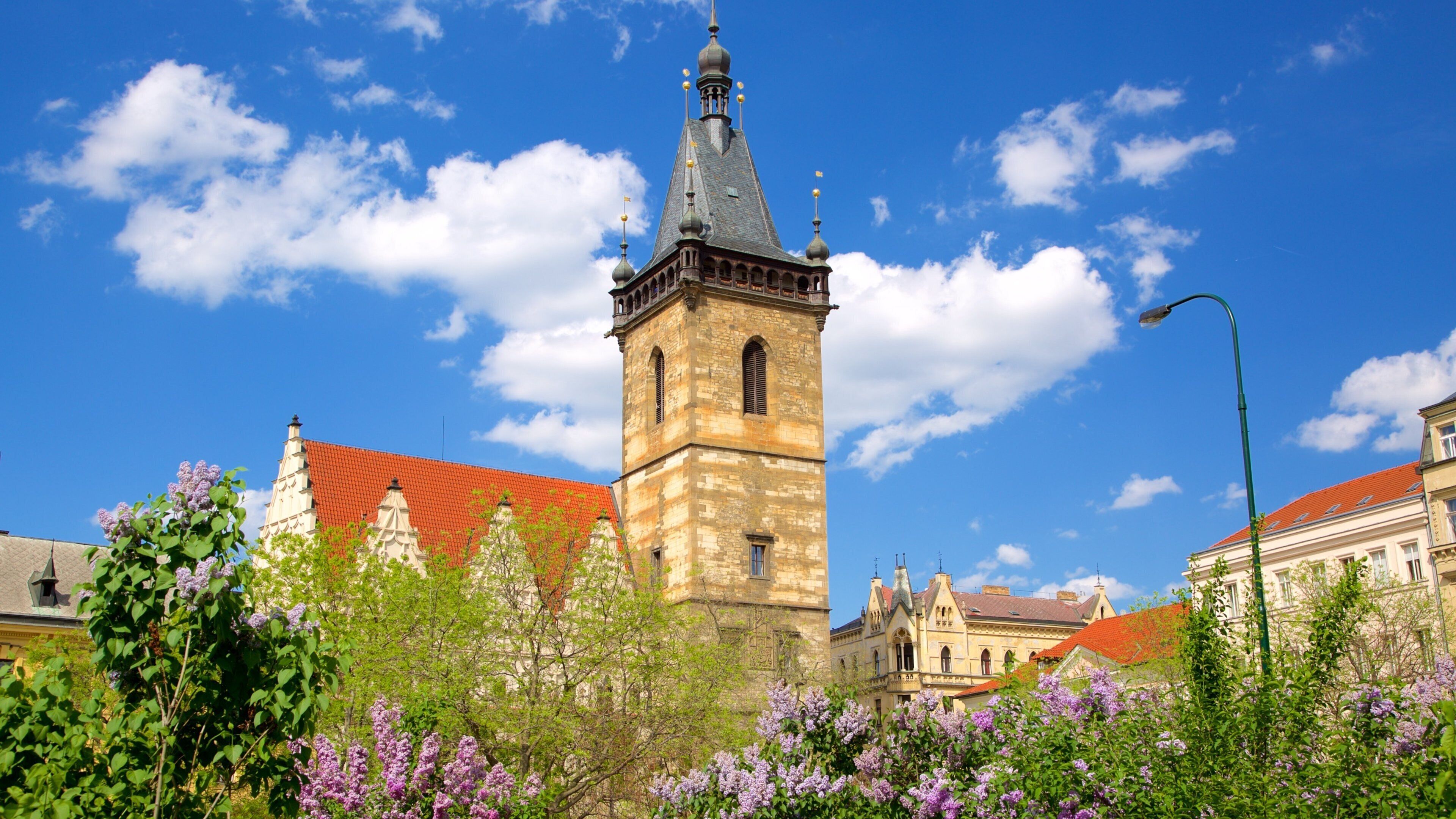 New Town Hall which includes flowers and heritage elements