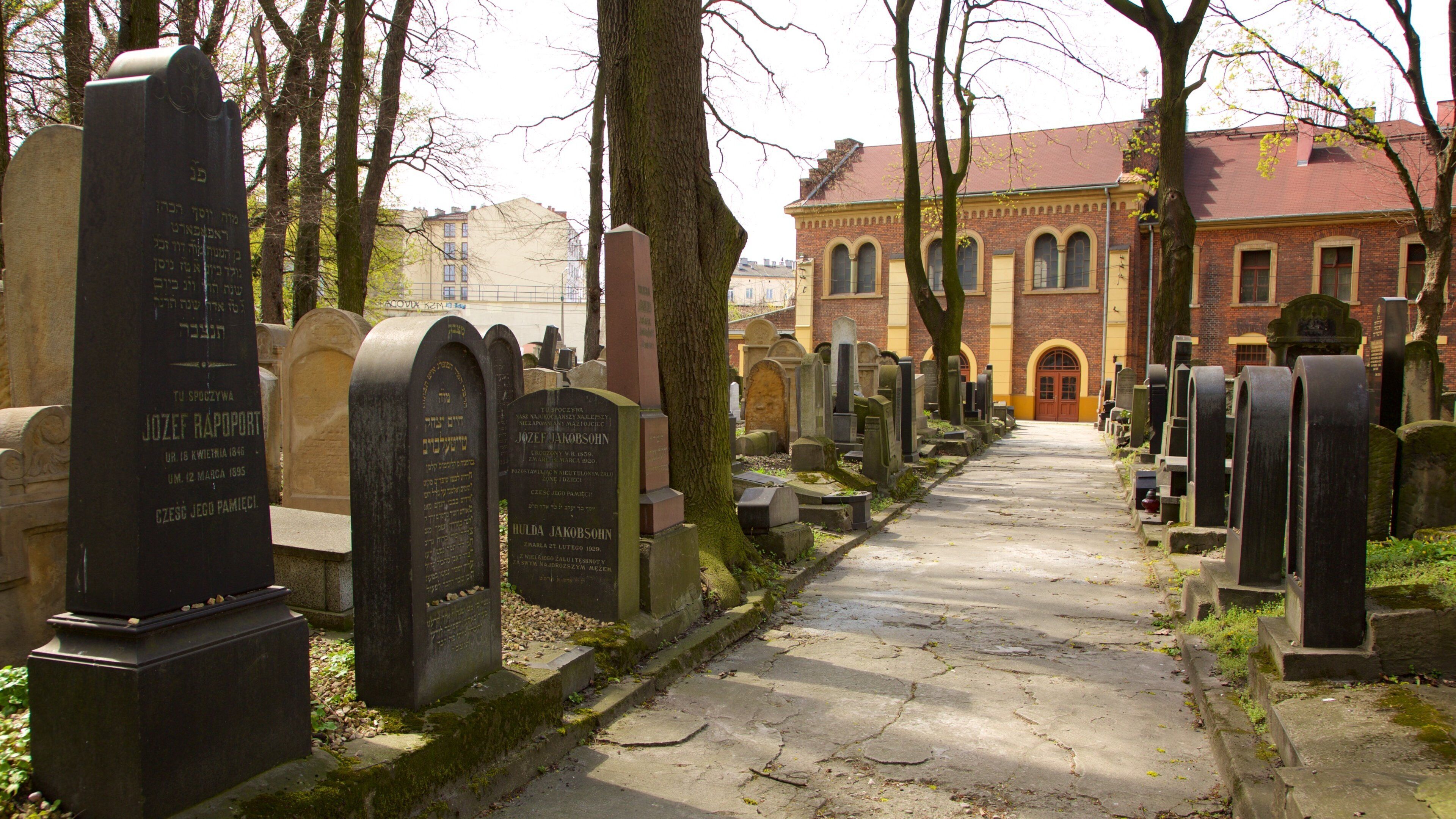 Cracovia mostrando un cementerio