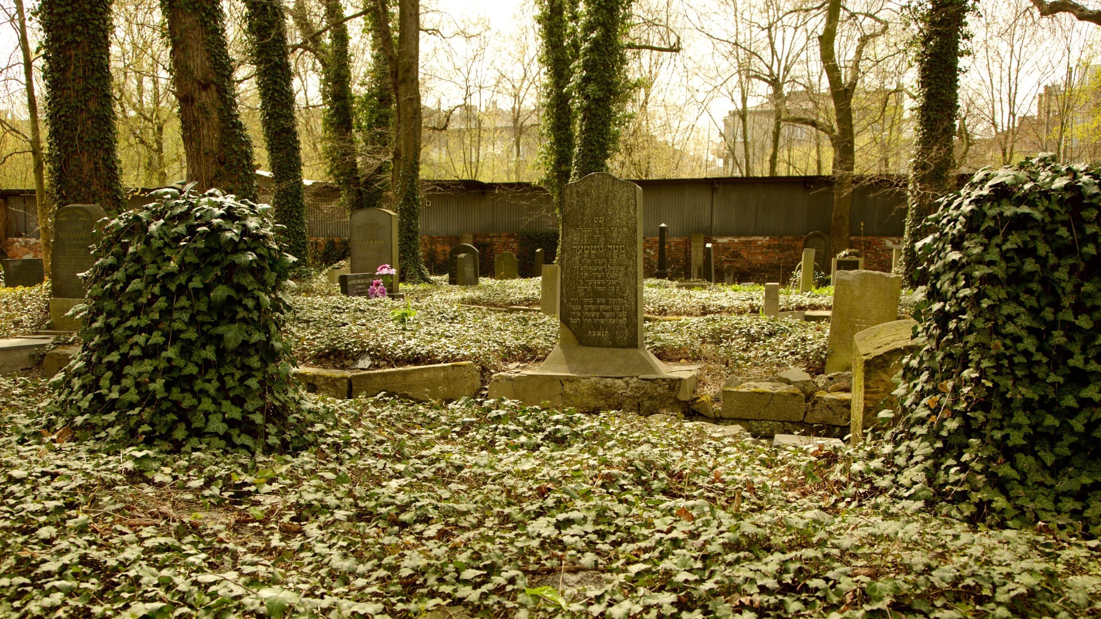 New Jewish Cemetery which includes a cemetery