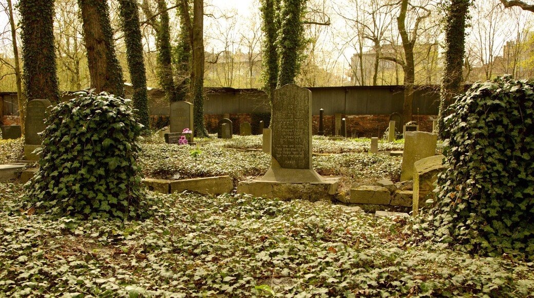New Jewish Cemetery which includes a cemetery