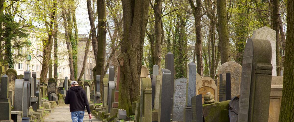 Krakow featuring a cemetery as well as an individual male