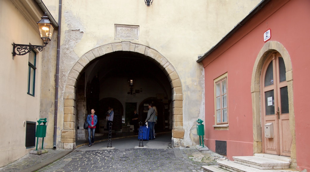 Zagreb fylke som viser liten by eller landsby og historisk arkitektur i tillegg til en liten gruppe med mennesker