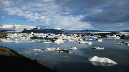 Reynivellir