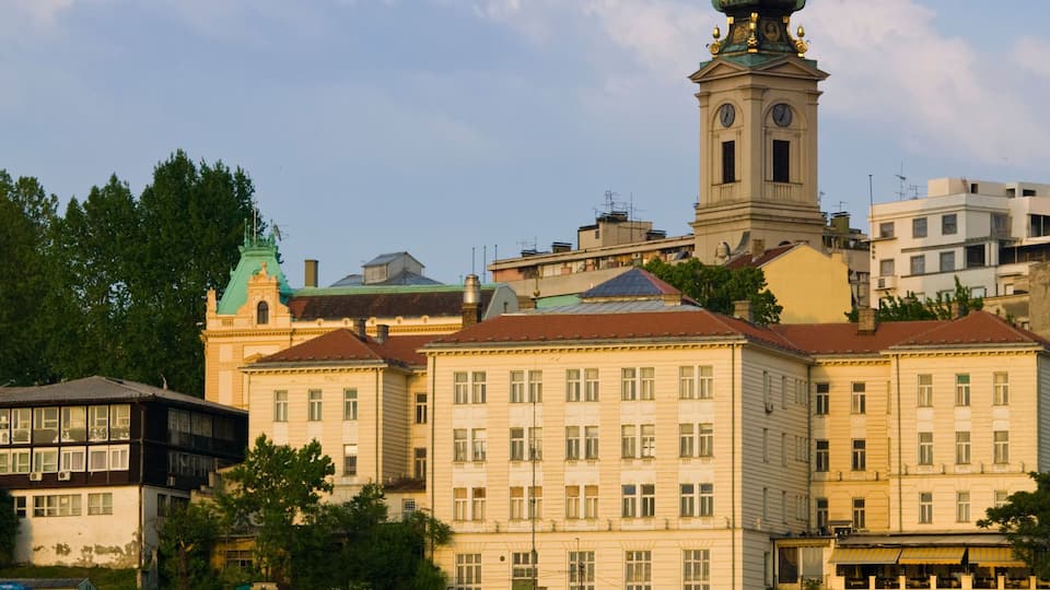 Serbia, Belgrade, Danube River Barges and Stari Grad (Old Town)