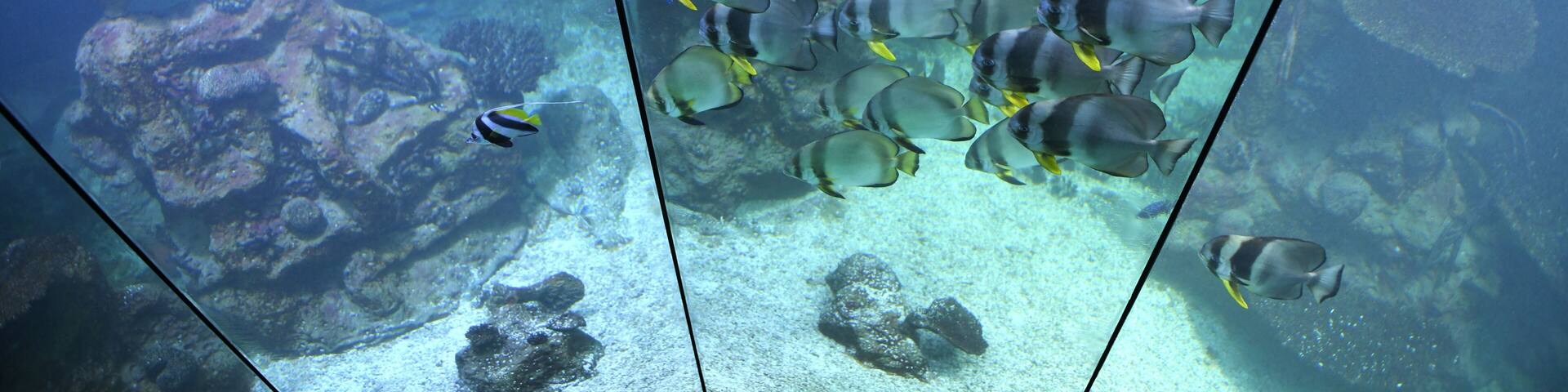 Haus des Meeres in Wien, Österreich, Europa