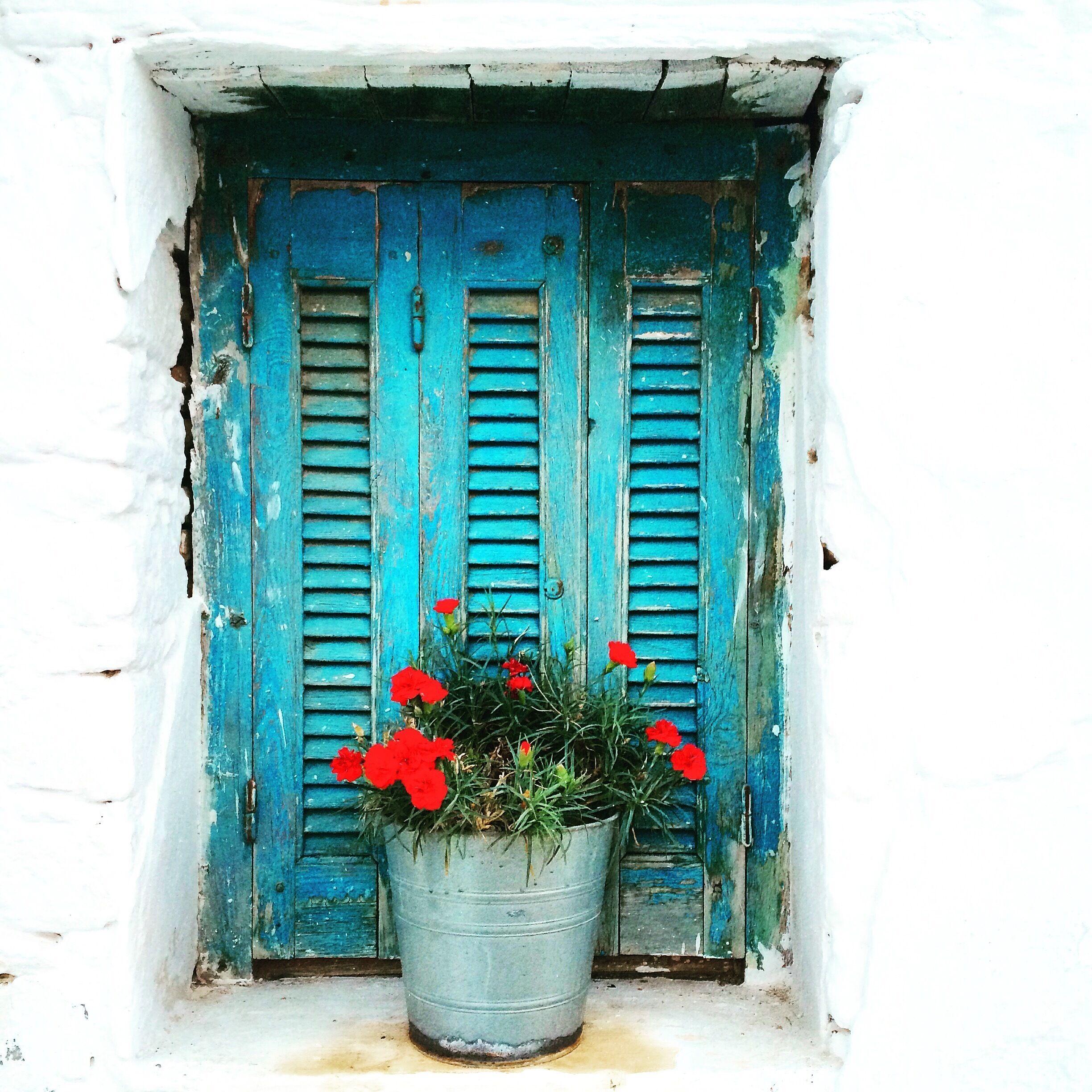 Perfect window #colorful