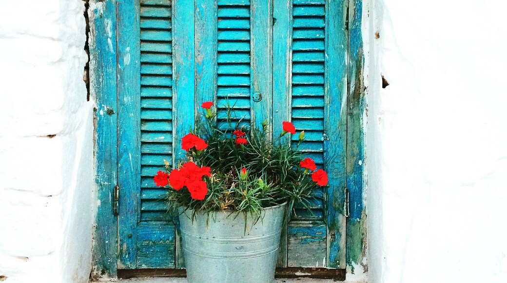 Perfect window #colorful