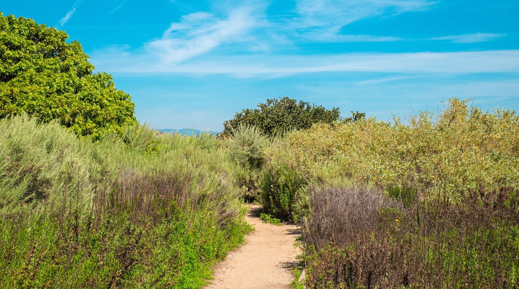 A nature trail in the Ballona Wetlands of Los Angeles California