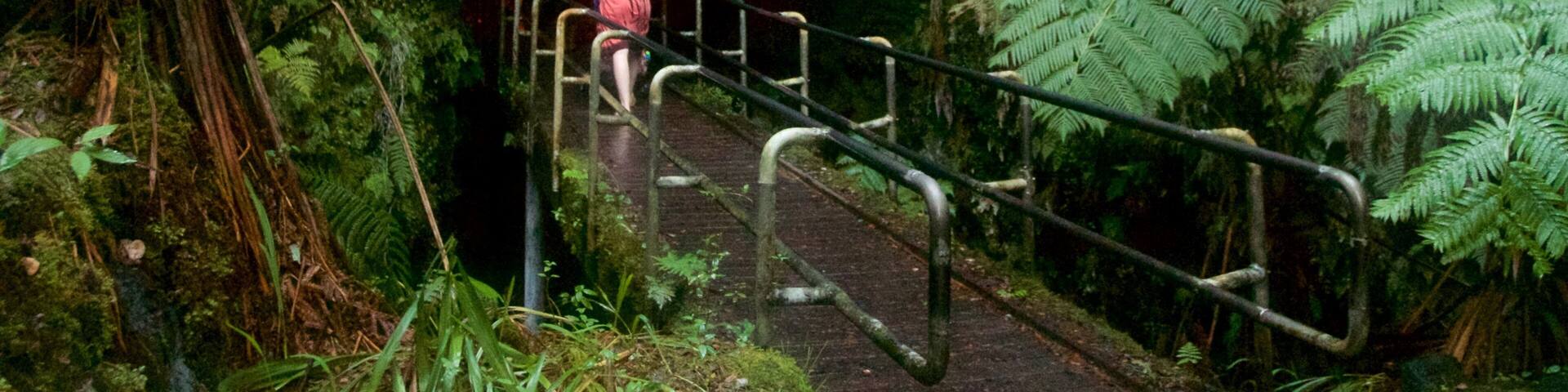Hawaii featuring rainforest and a bridge as well as a small group of people
