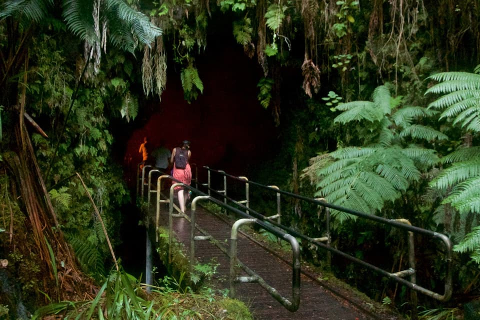 A forested area with a metal walkway leading to a dark opening.