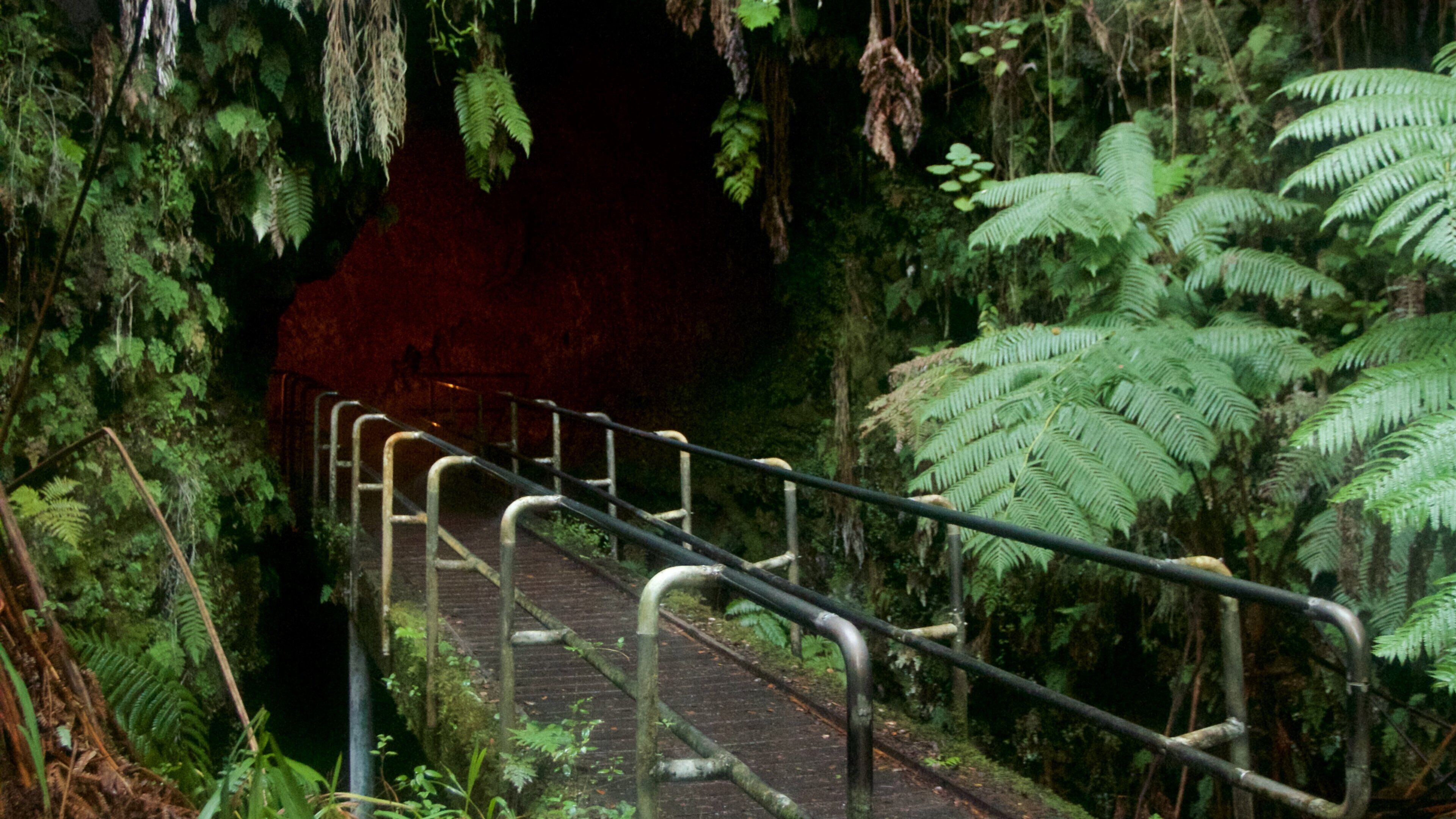 Thurston Lava Tube featuring a bridge and forests