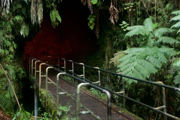 Thurston Lava Tube featuring a bridge and forests