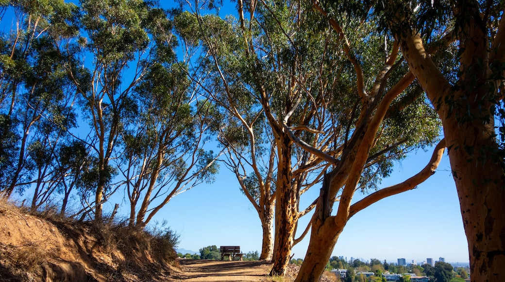 Will Rogers State Historic Park