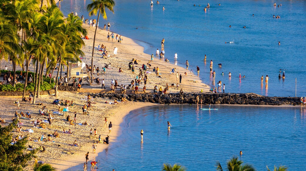 Kuhio Beach in Waikiki Packed with Visitors Just Before Sunset