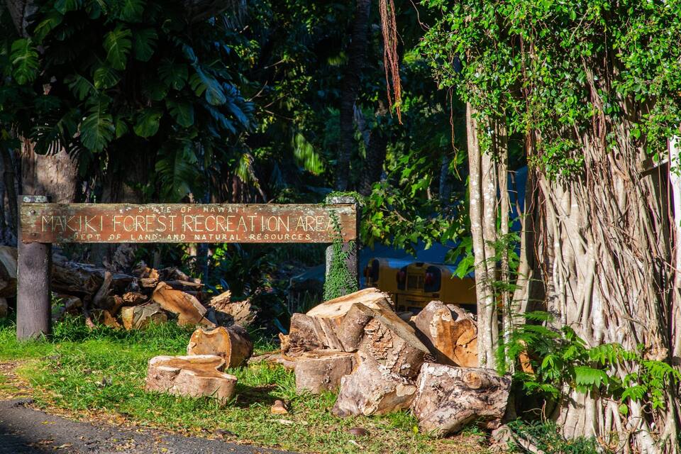 Un letrero de madera indica el área recreativa de Makikiki Forest, rodeado de árboles y troncos.