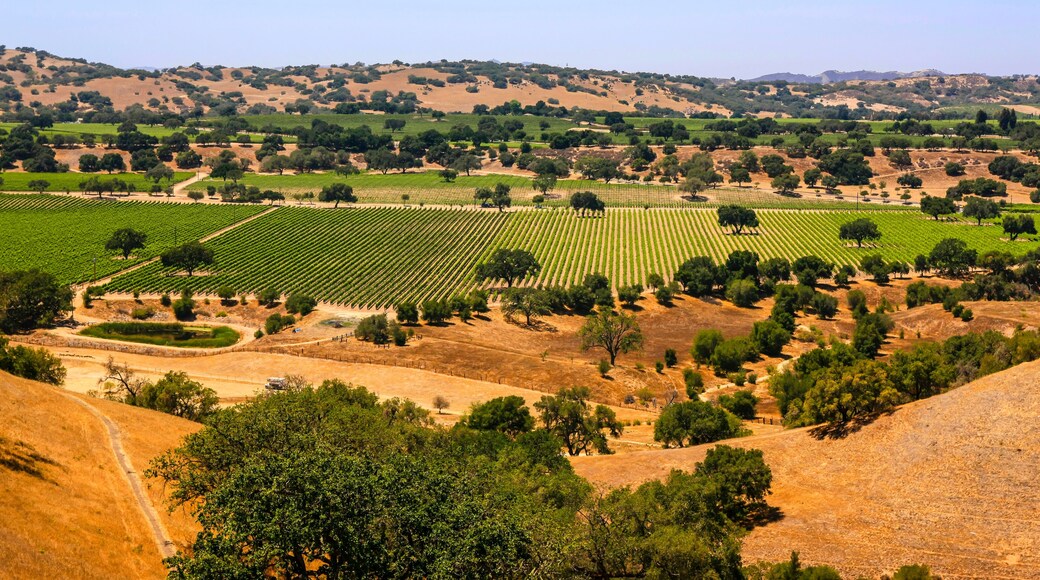 Foxen Canyon Wine Trail