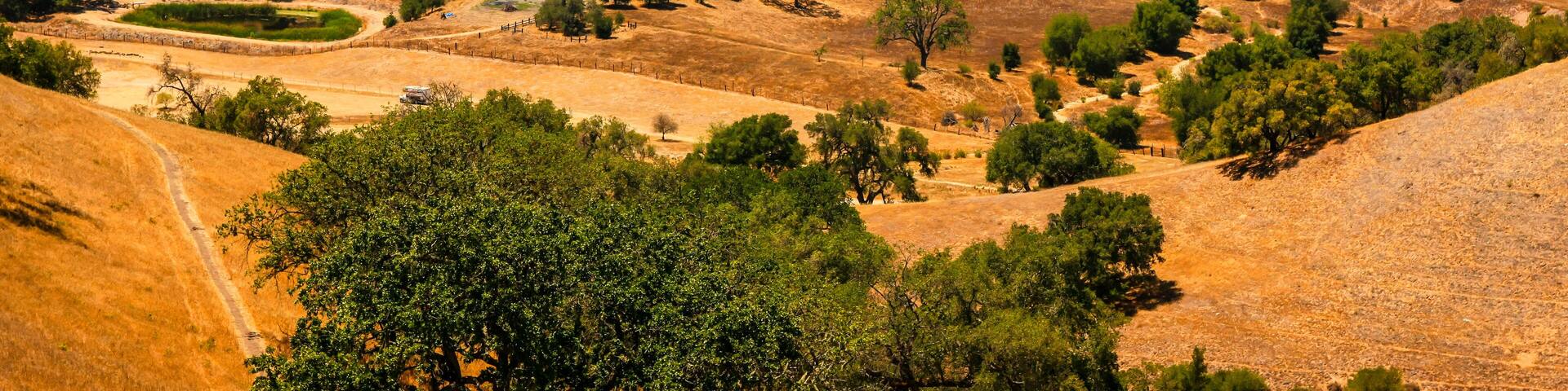 Foxen Canyon, CA, USA - June 25, 2015: Landscape view of the vineyards in the Foxen Canyon Wine trail region in Santa Barbara County, California USA
