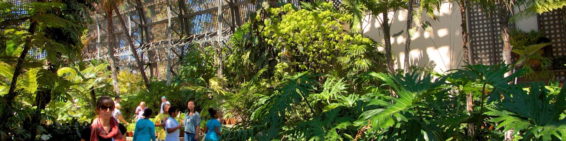 San Diego que incluye jardín y vista interna y también una mujer