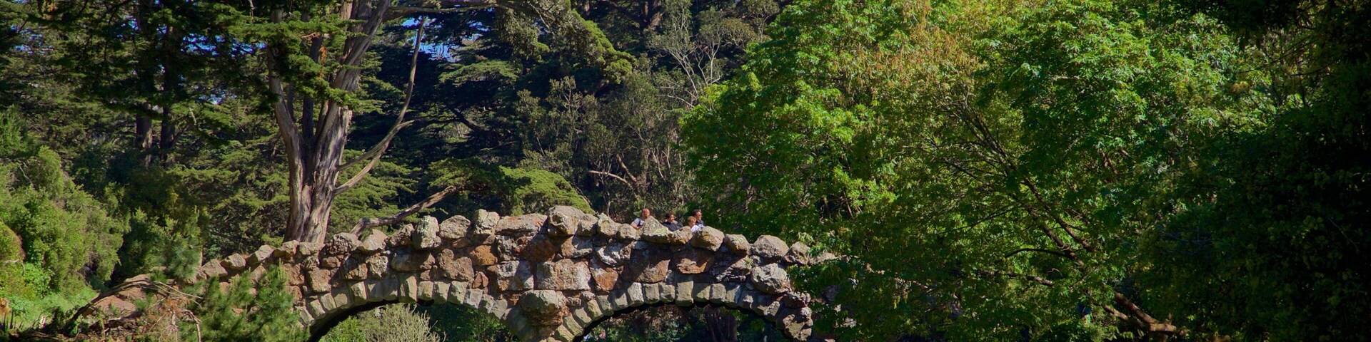 Stow Lake showing boating, a bridge and a river or creek