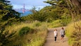 A dirt path with dense greenery and a view of the Golden Gate Bridge in the distance.