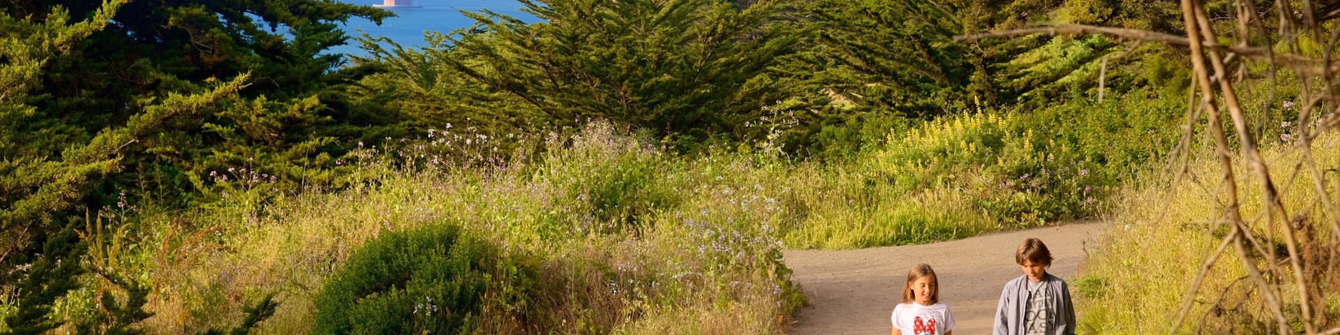 Uma trilha de terra com vegetação densa e vista da Ponte Golden Gate ao longe.