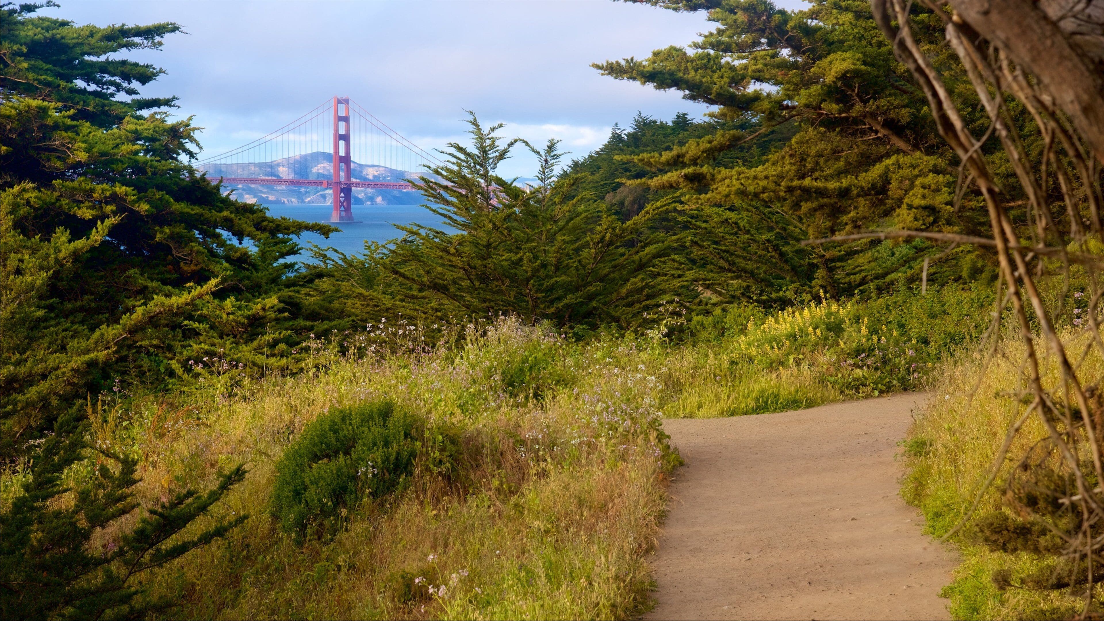 Coastal Trail showing a park