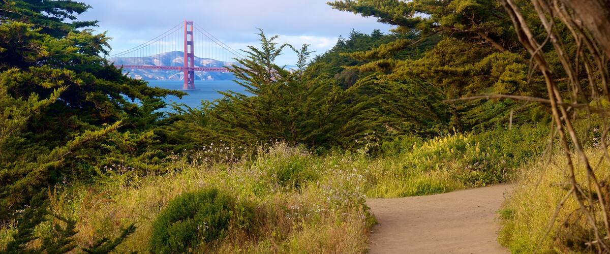 Coastal Trail showing a park