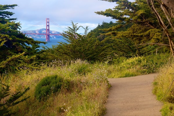 Coastal Trail showing a park