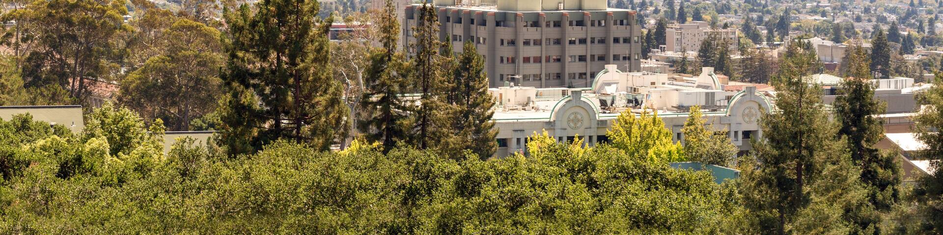 Berkeley University with clock tower and city view.