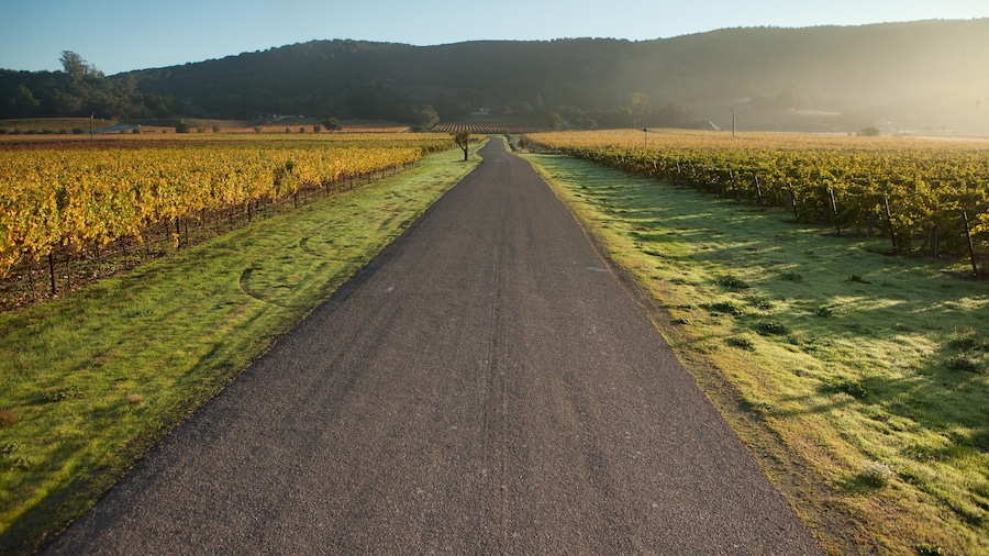 Gundlach-Bundschu Winery