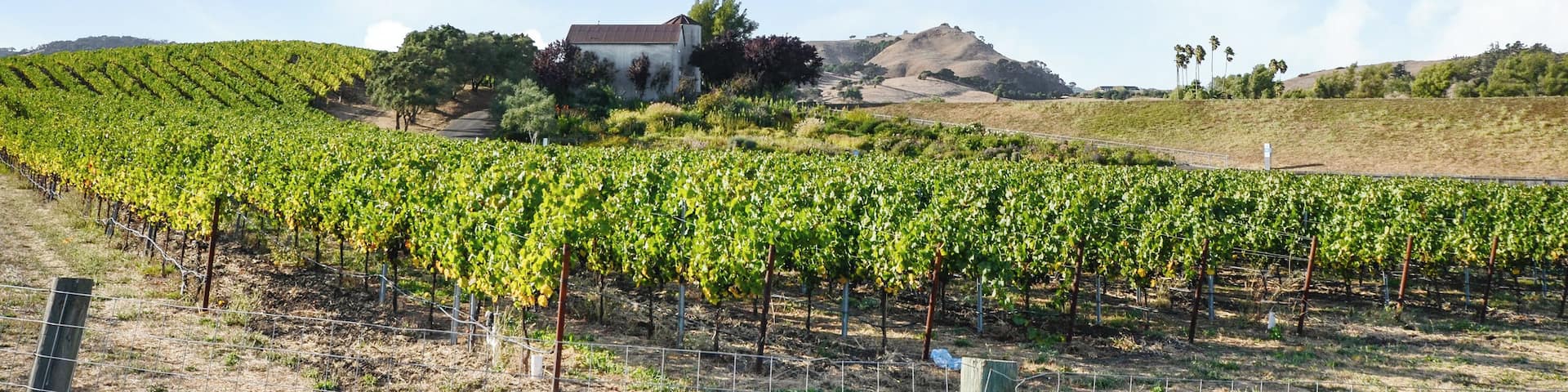 Napa_diRosaArtNaturePreserve_553248621533113796_03