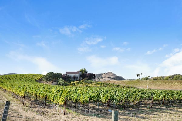 Napa_diRosaArtNaturePreserve_553248621533113796_03